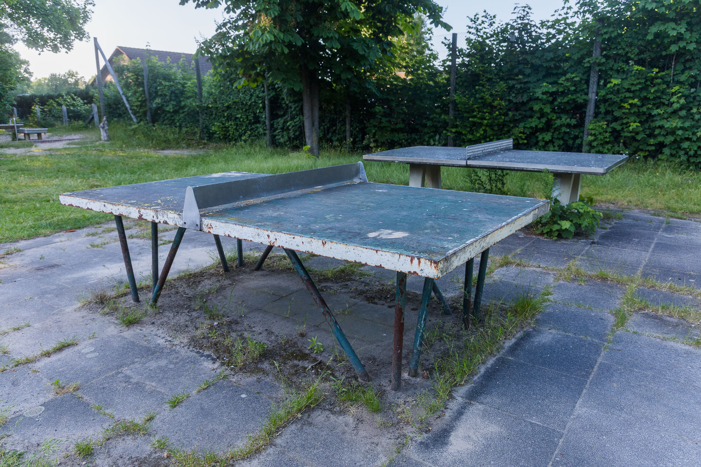 Tisch-tennis-platten